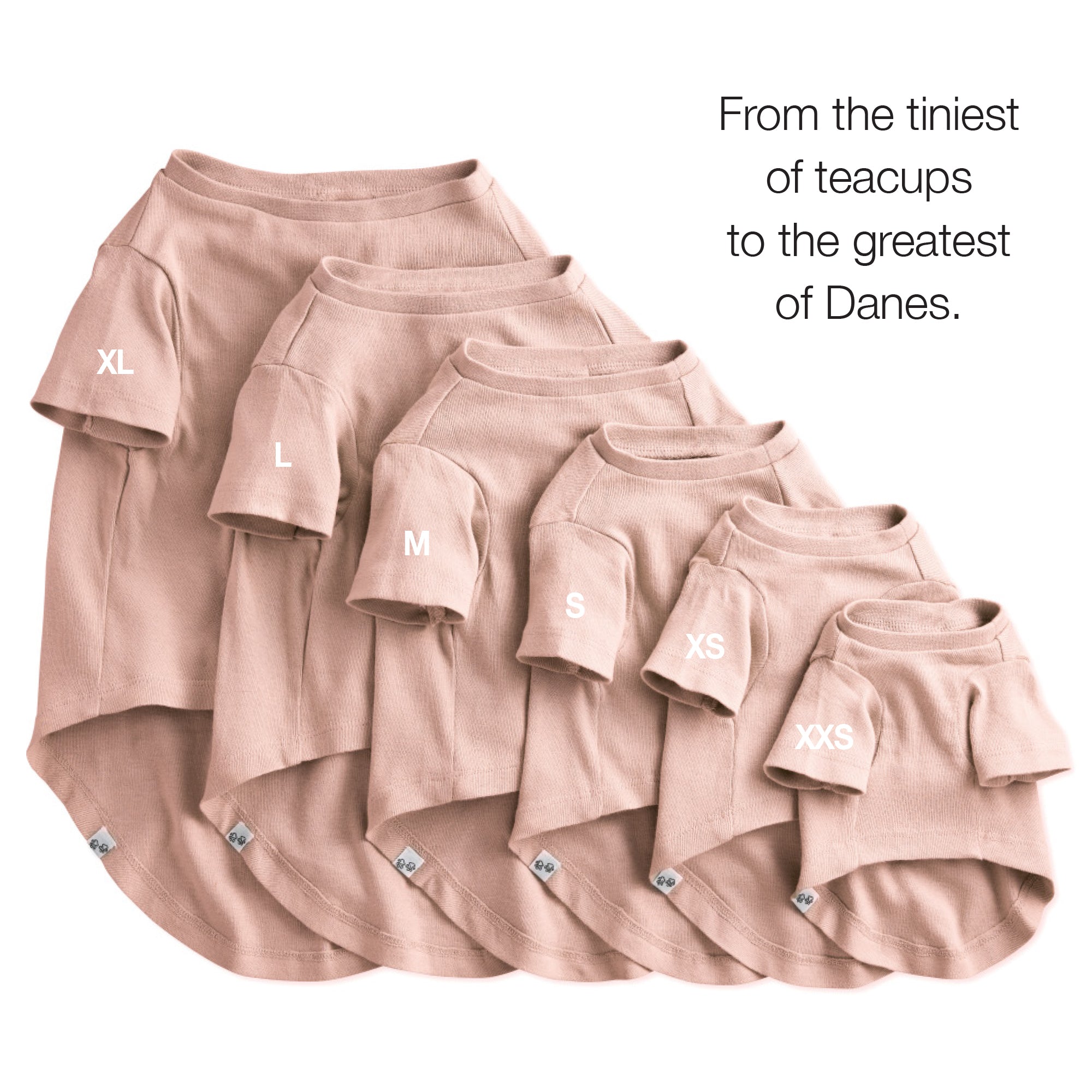 FROM THE TINIEST OF TEACUPS TO THE GREATEST OF DANES