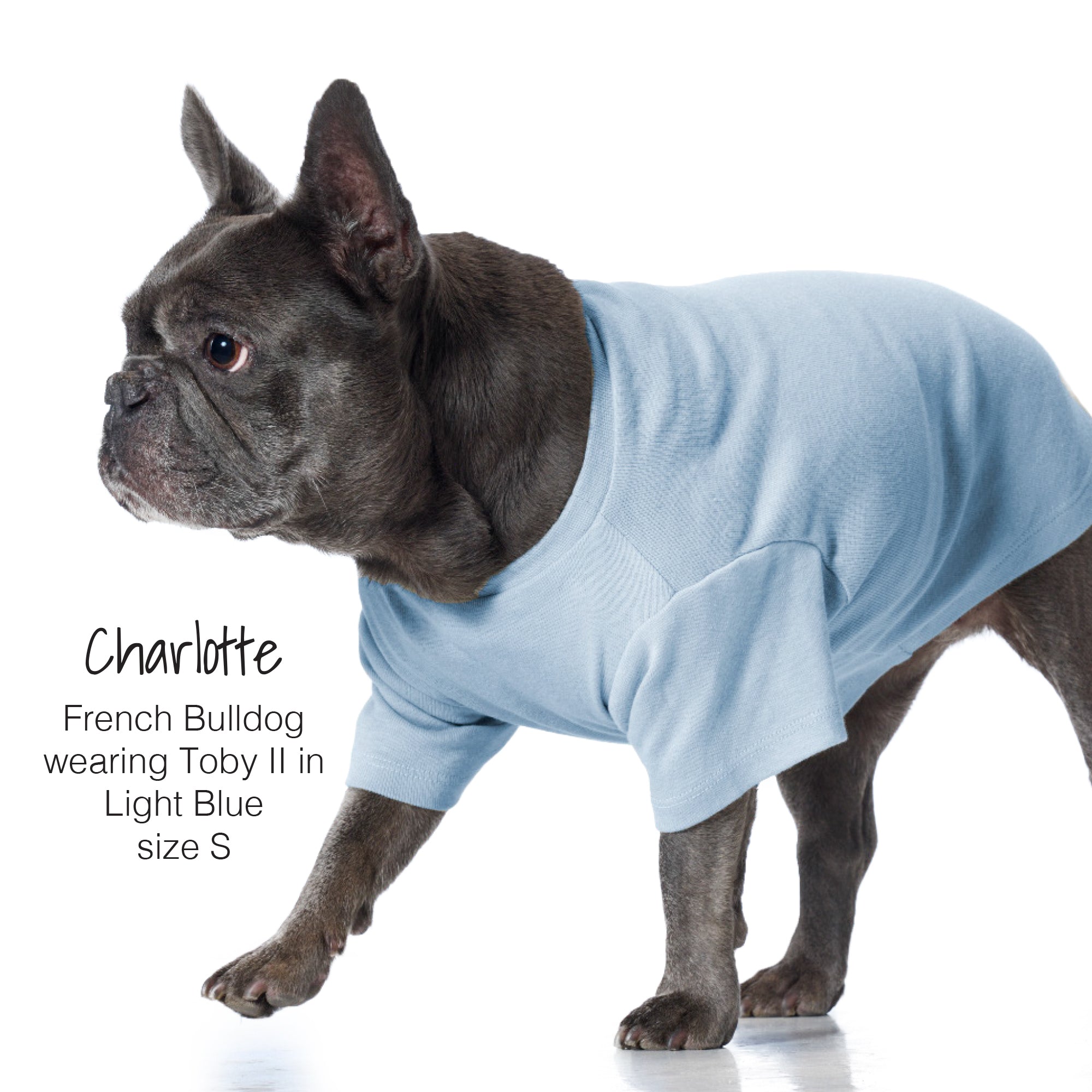 TOBY II - THE EXTRA PERFECT TEE, 3 PACK, NAVY OMBRE