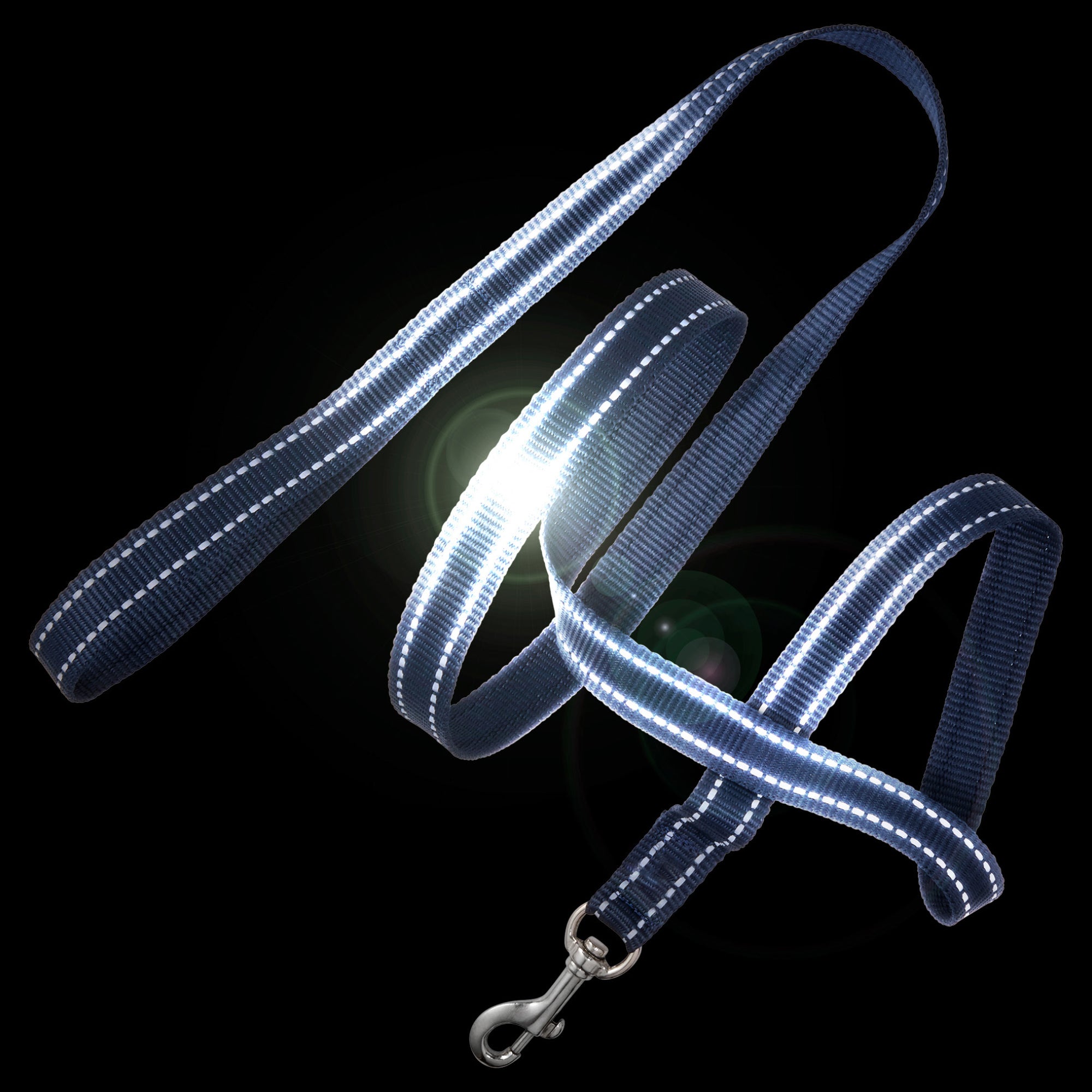 Blue LED dog leash on a black background