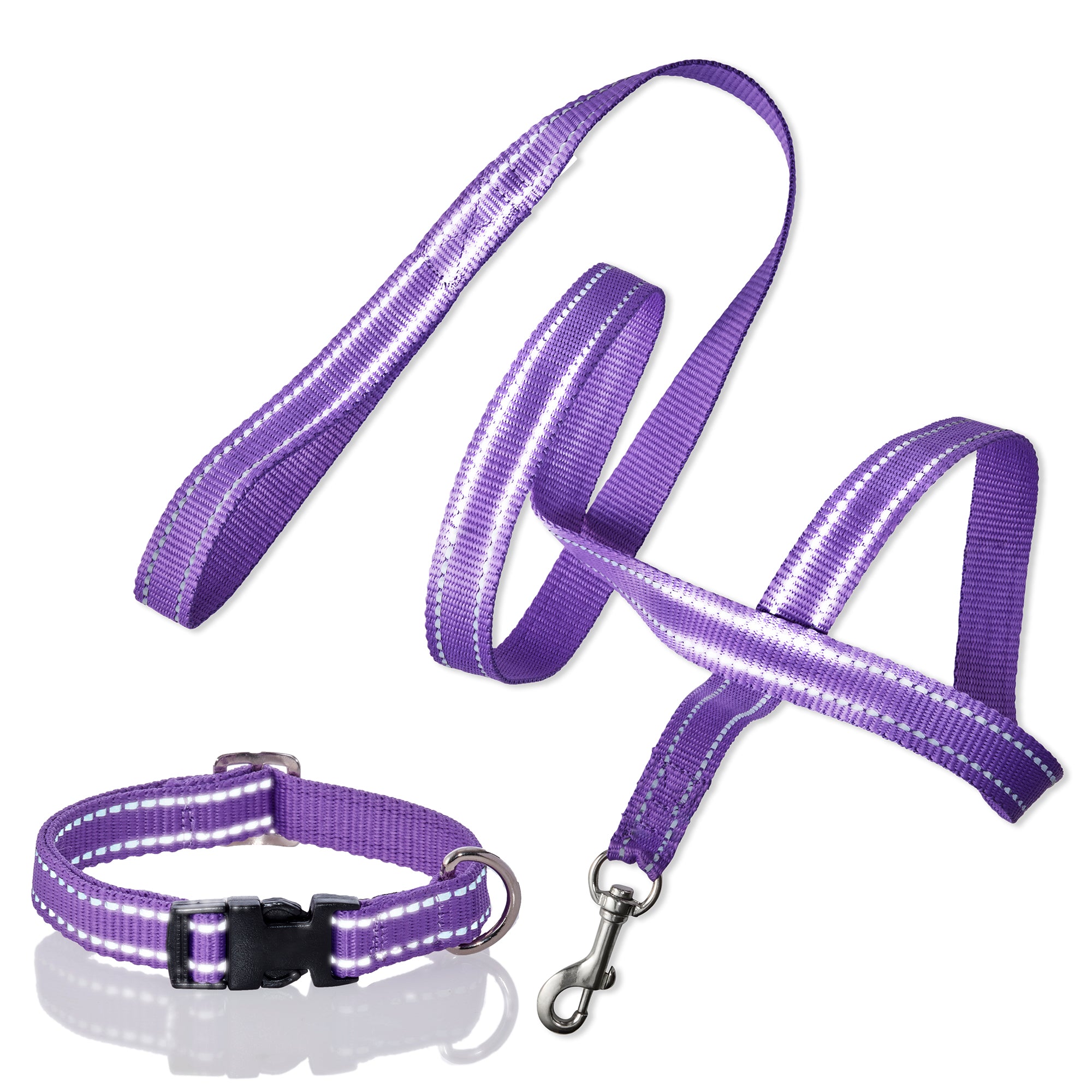 Reflective leash and collar in purple on a white background