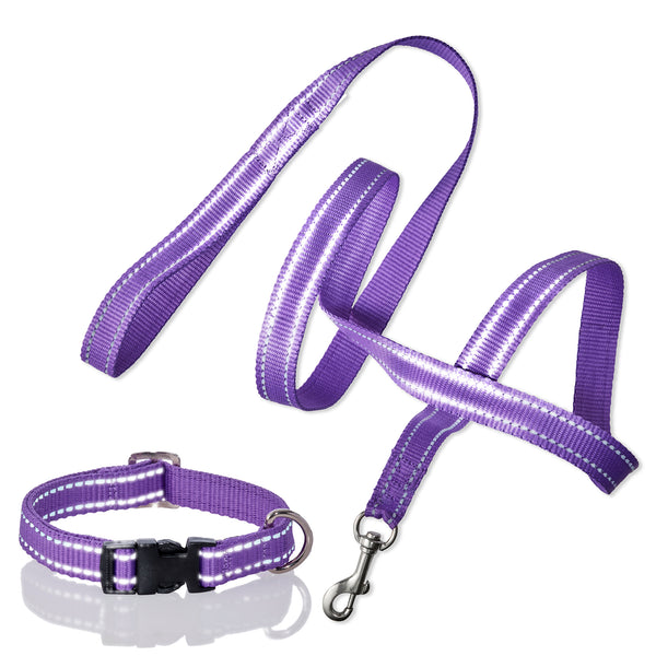 MAX - THE HARDY REFLECTIVE LEASH & COLLAR, 2-PACK