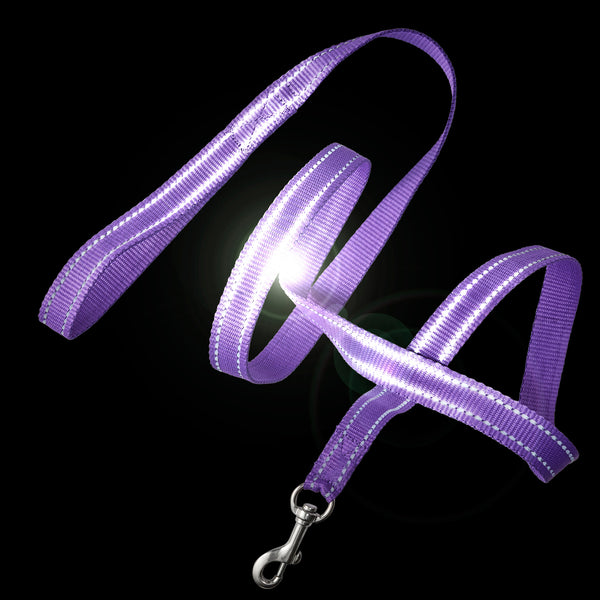 MAX - THE HARDY REFLECTIVE LEASH & COLLAR, 2-PACK