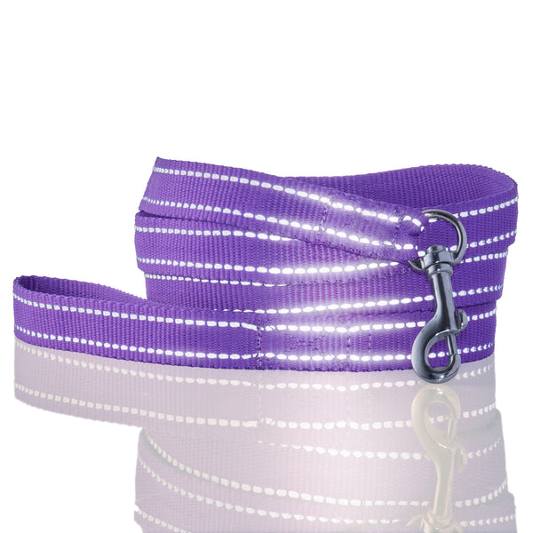 MAX - THE HARDY REFLECTIVE LEASH & COLLAR, 2-PACK