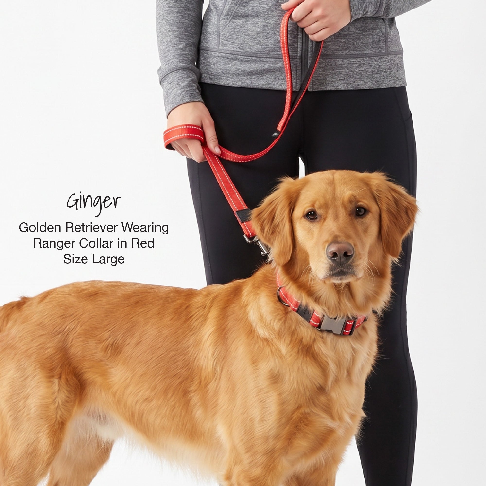 RANGER – THE PREMIUM HEAVY DUTY REFLECTIVE LEASH & COLLAR, 2-PACK GIFT SET