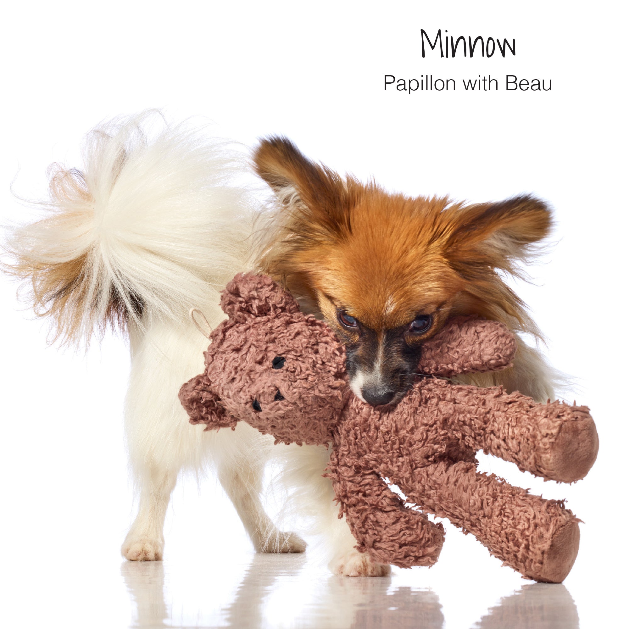 THREE'S COMPANY - Best Friends 4-Piece Gift Set