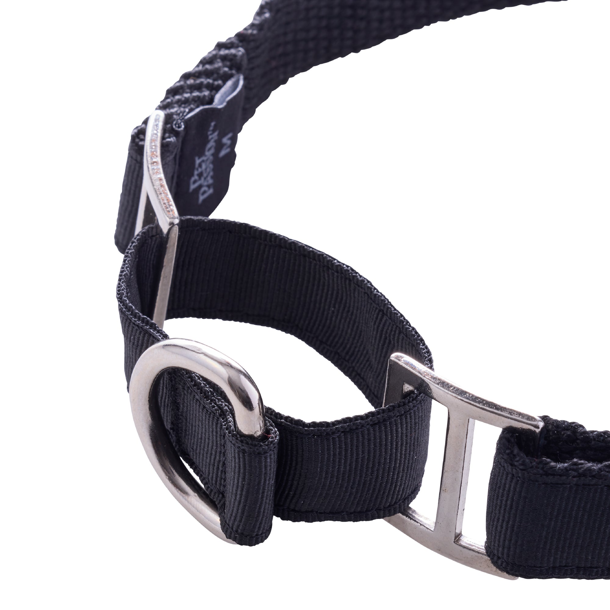 close-up of collar hardware and ring attachment