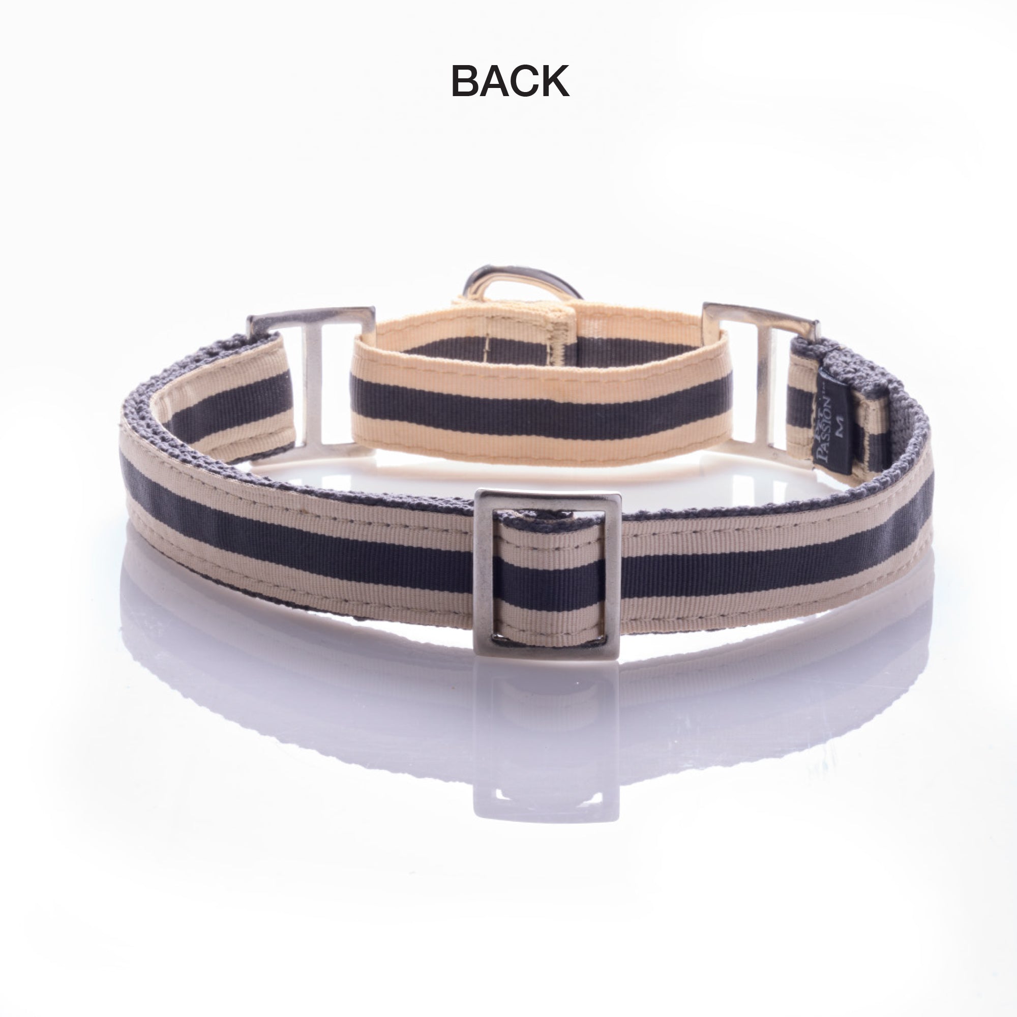 back of Remy II martingale on a white background