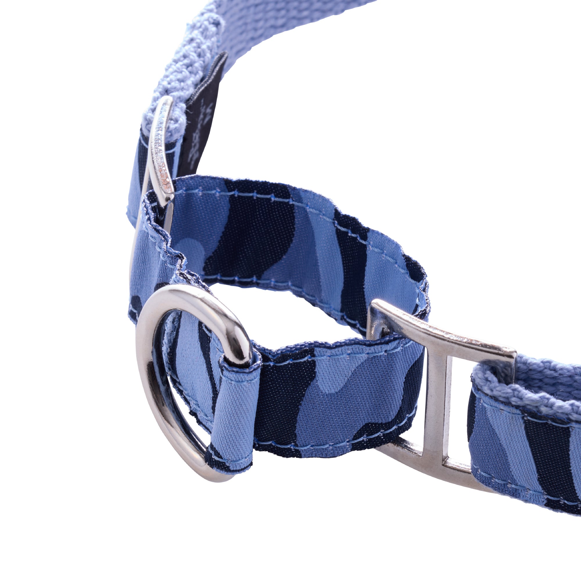 close-up of collar hardware and ring attachment