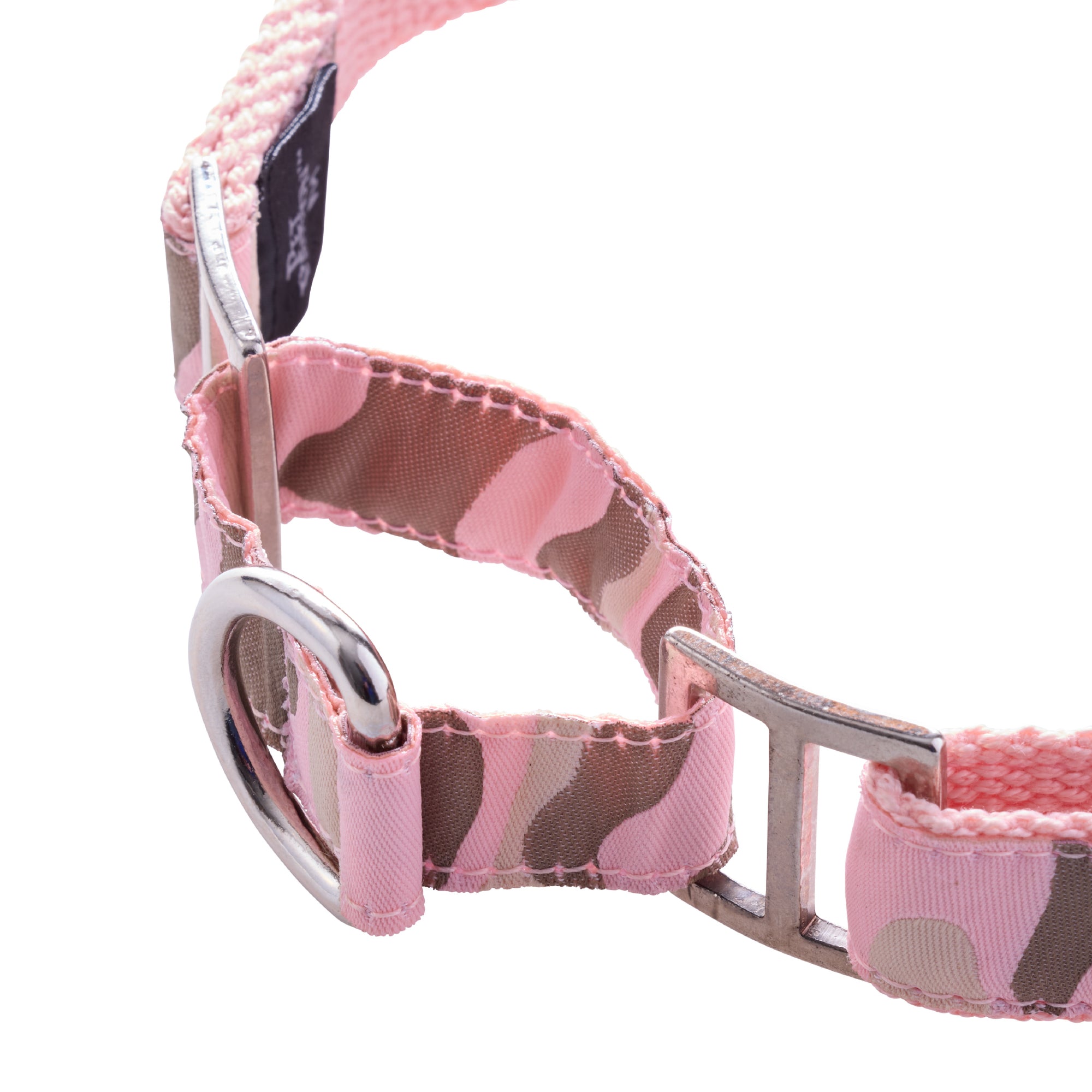 close-up of collar hardware and ring attachment
