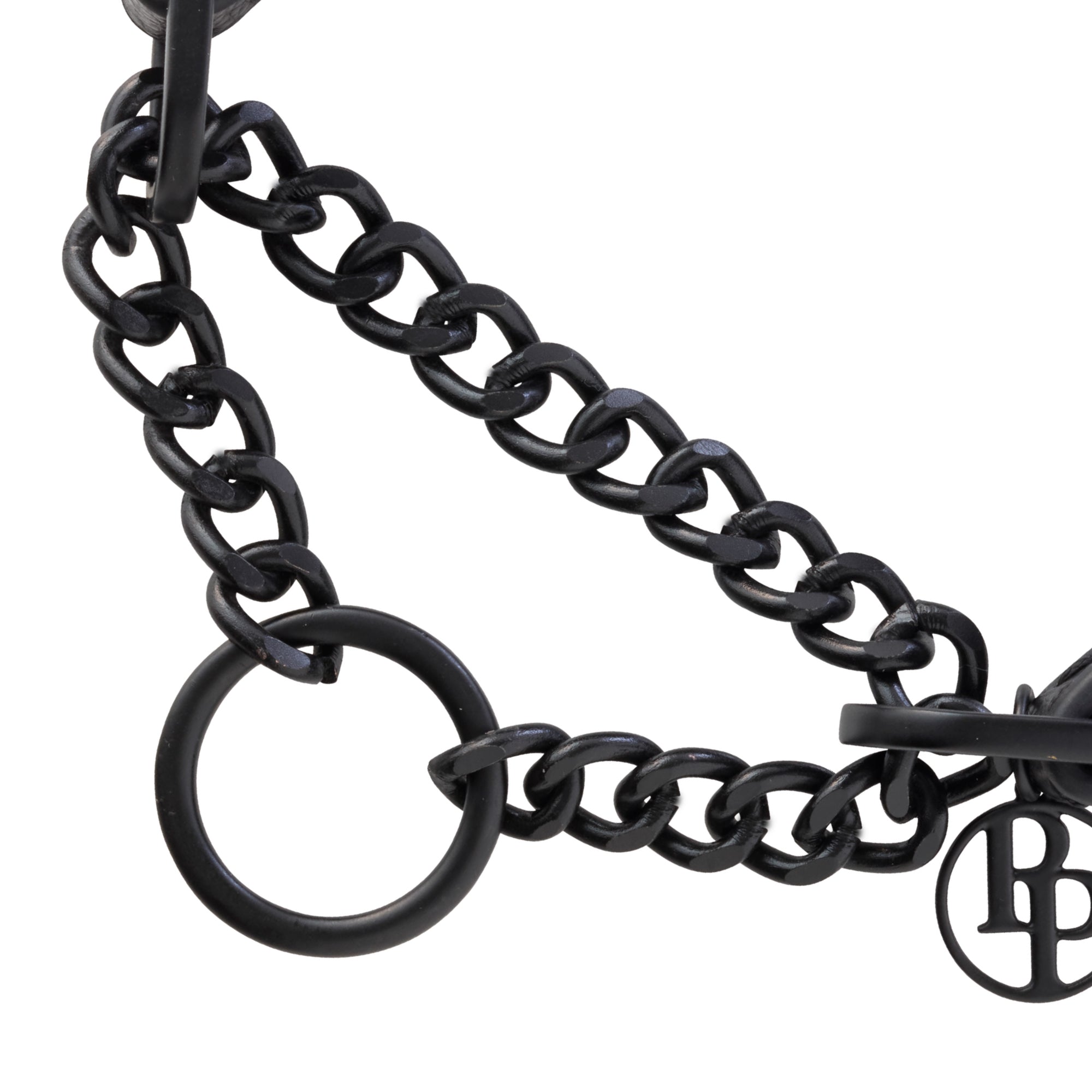Close-up of martingale chain link collar mechanism.