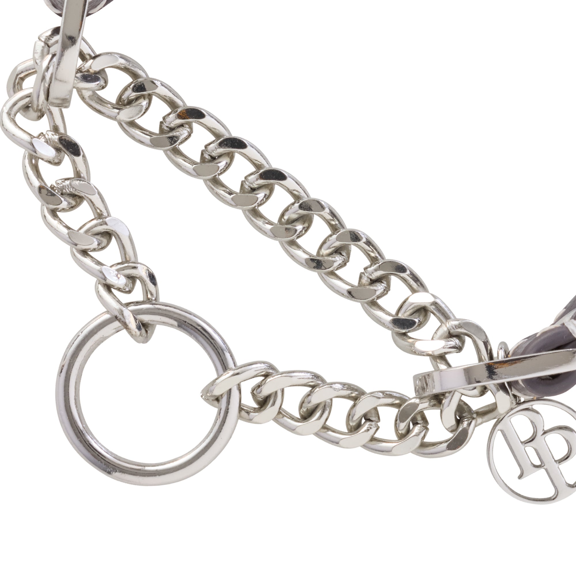 Close-up of martingale chain link collar mechanism.