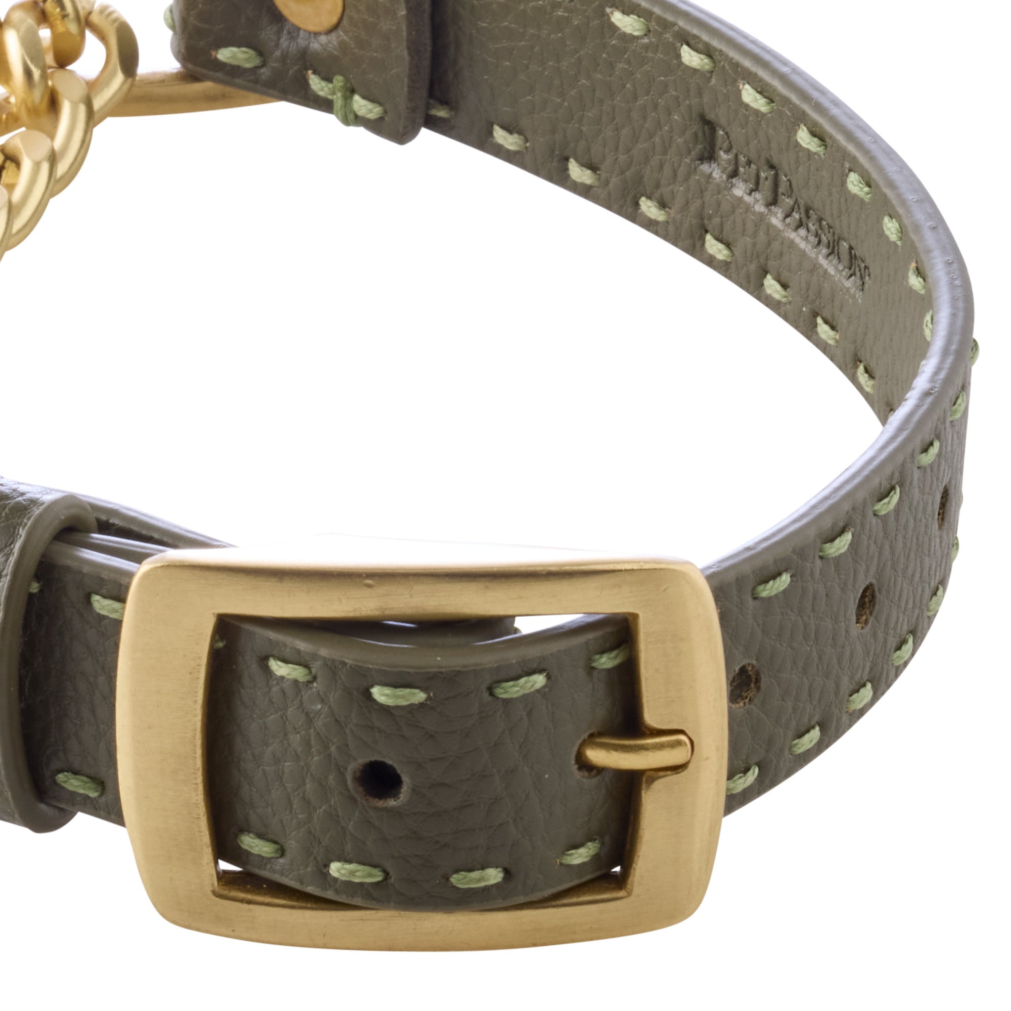 Close-up of collar buckle hardware and stitching.