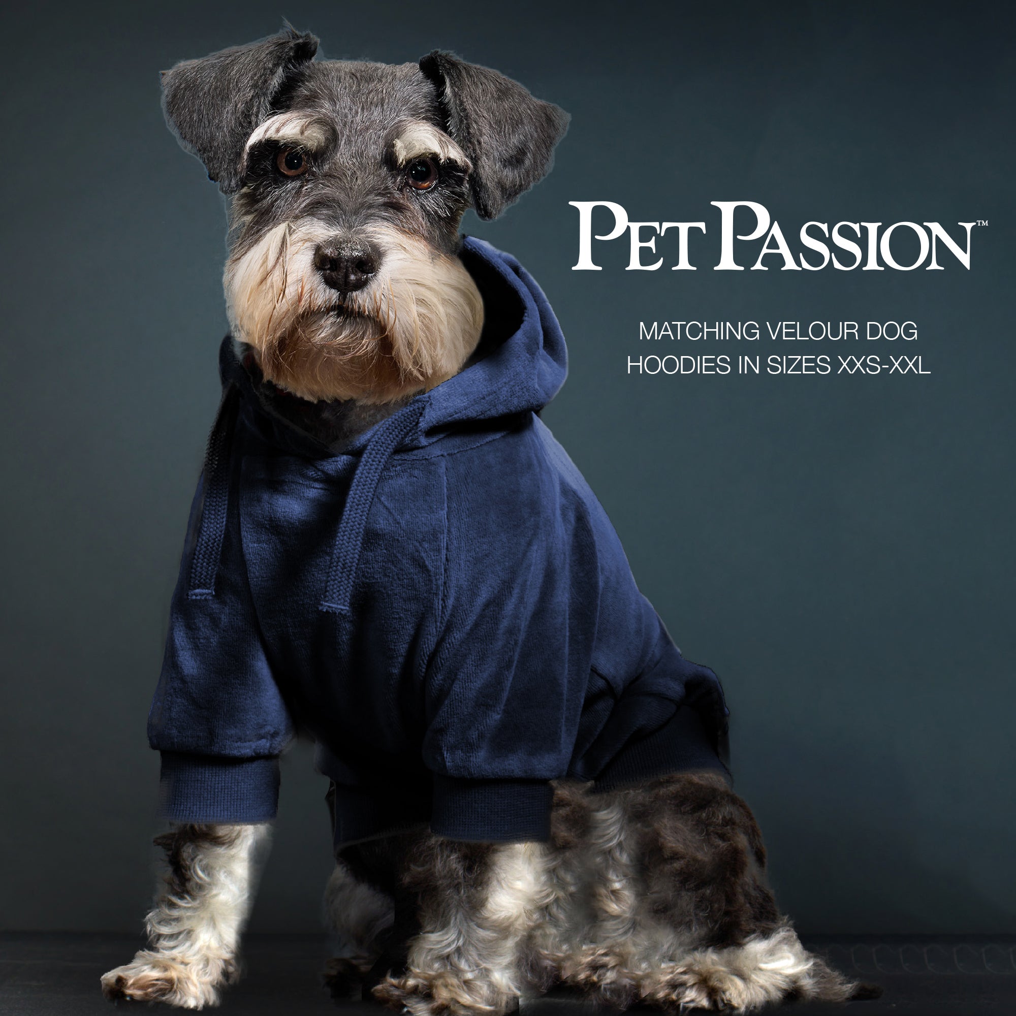 PEOPLE PACKS COOPER II - THE PLUSH VELOUR SWEATSUIT, NAVY