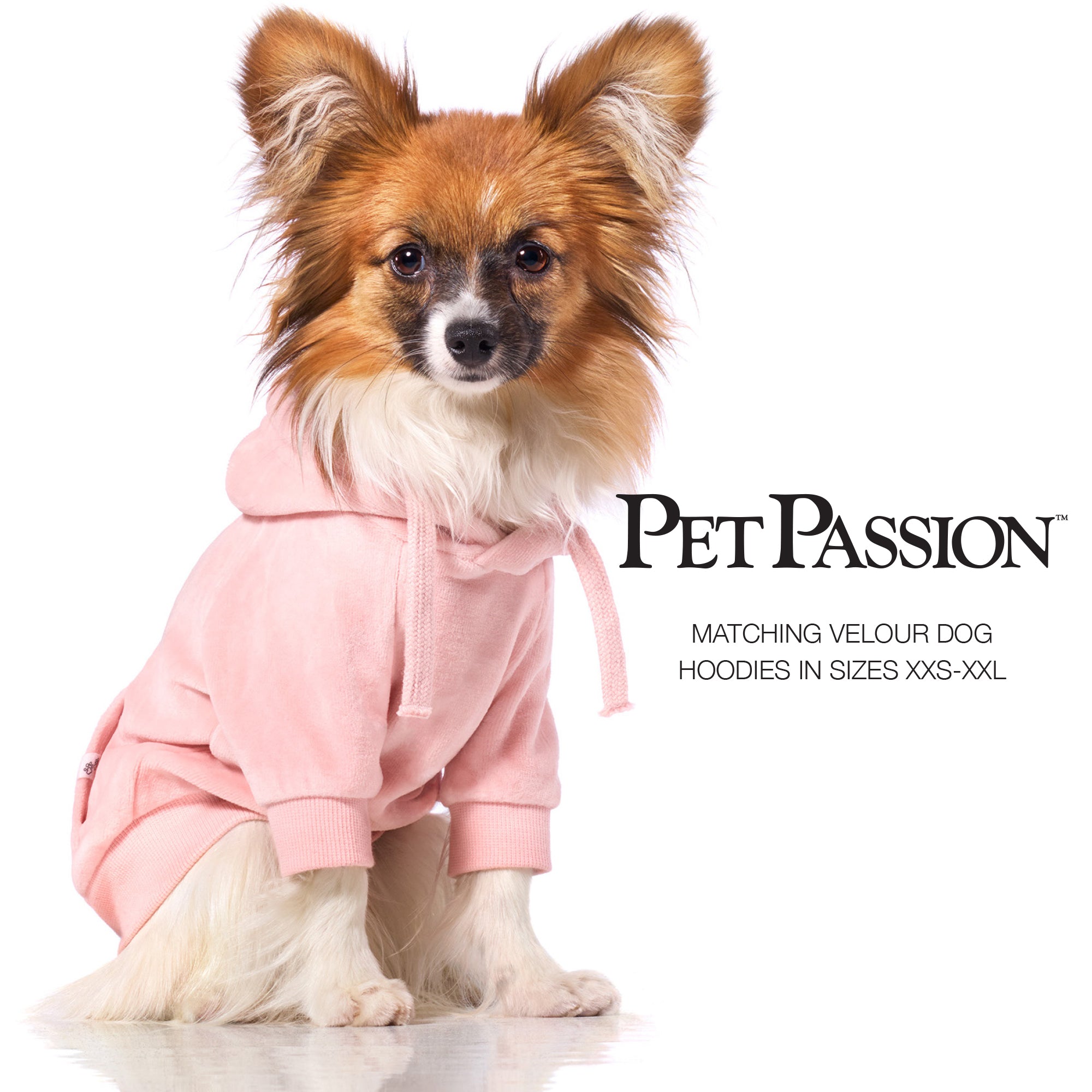 PEOPLE PACKS COOPER II - THE PLUSH VELOUR SWEATSUIT, PINK