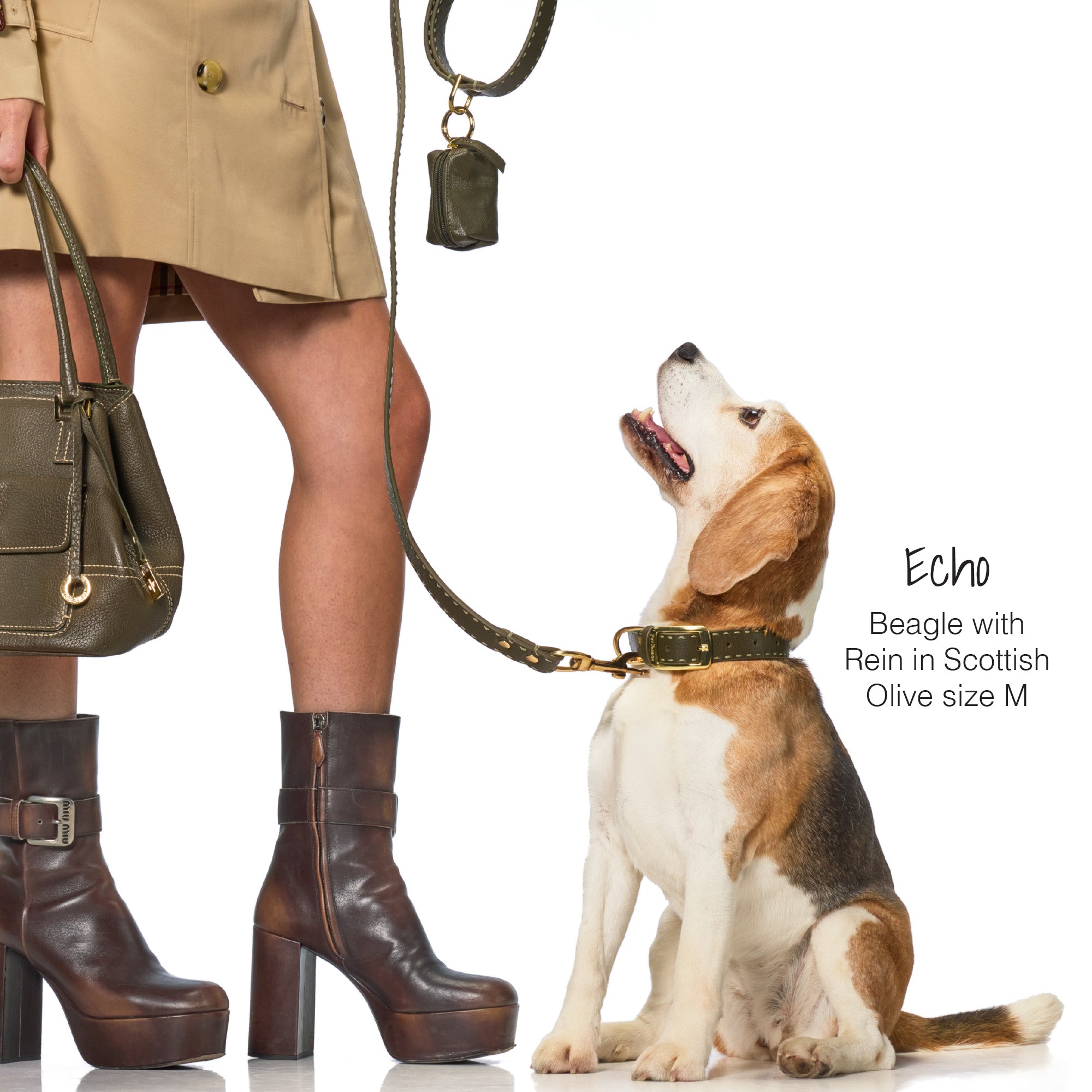 Echo the dog decked out out in The Vegan Leather Rein line in Scottish Olive