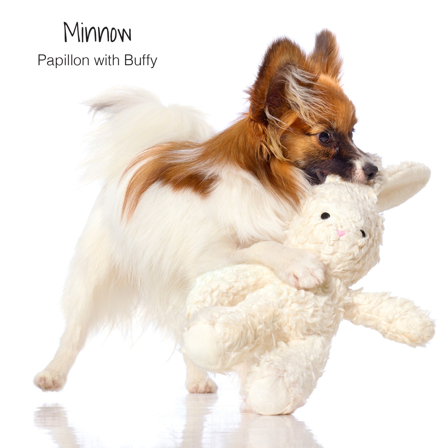 BUFFY - THE BUNNY TOY