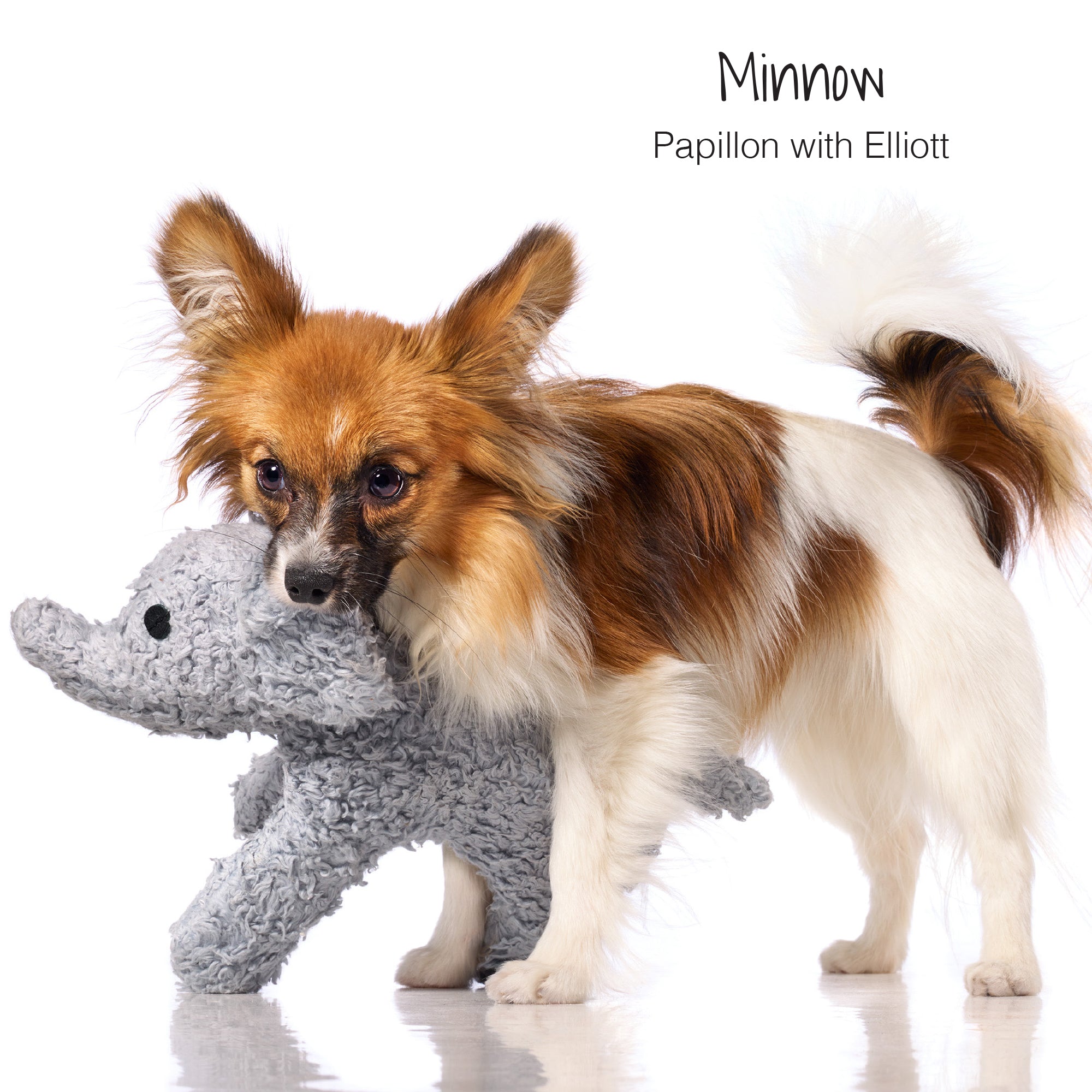 Elliott the Elephant Toy