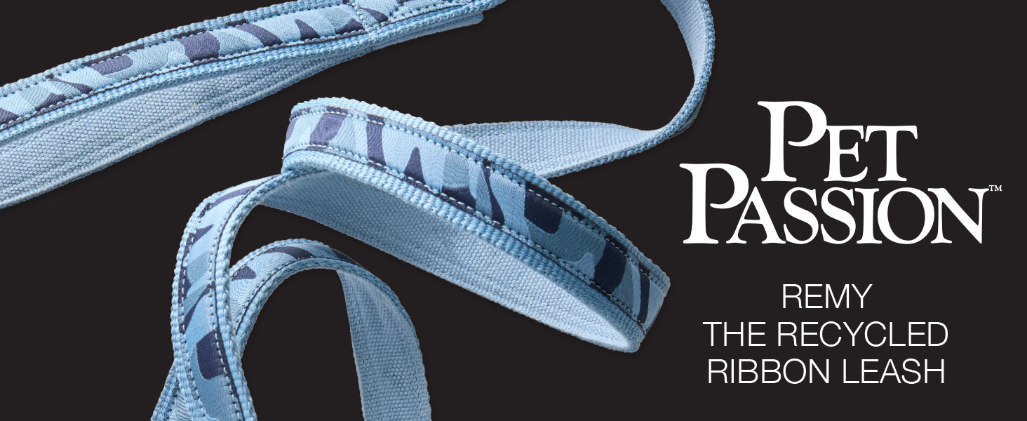 Blue ribbon leash with 'Pet Passion' branding on a black background