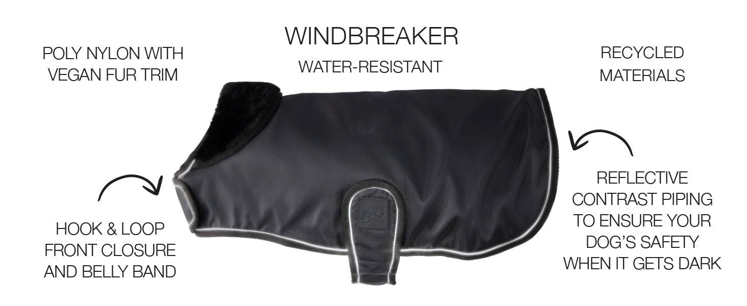 Dog windbreaker with features highlighted on a white background