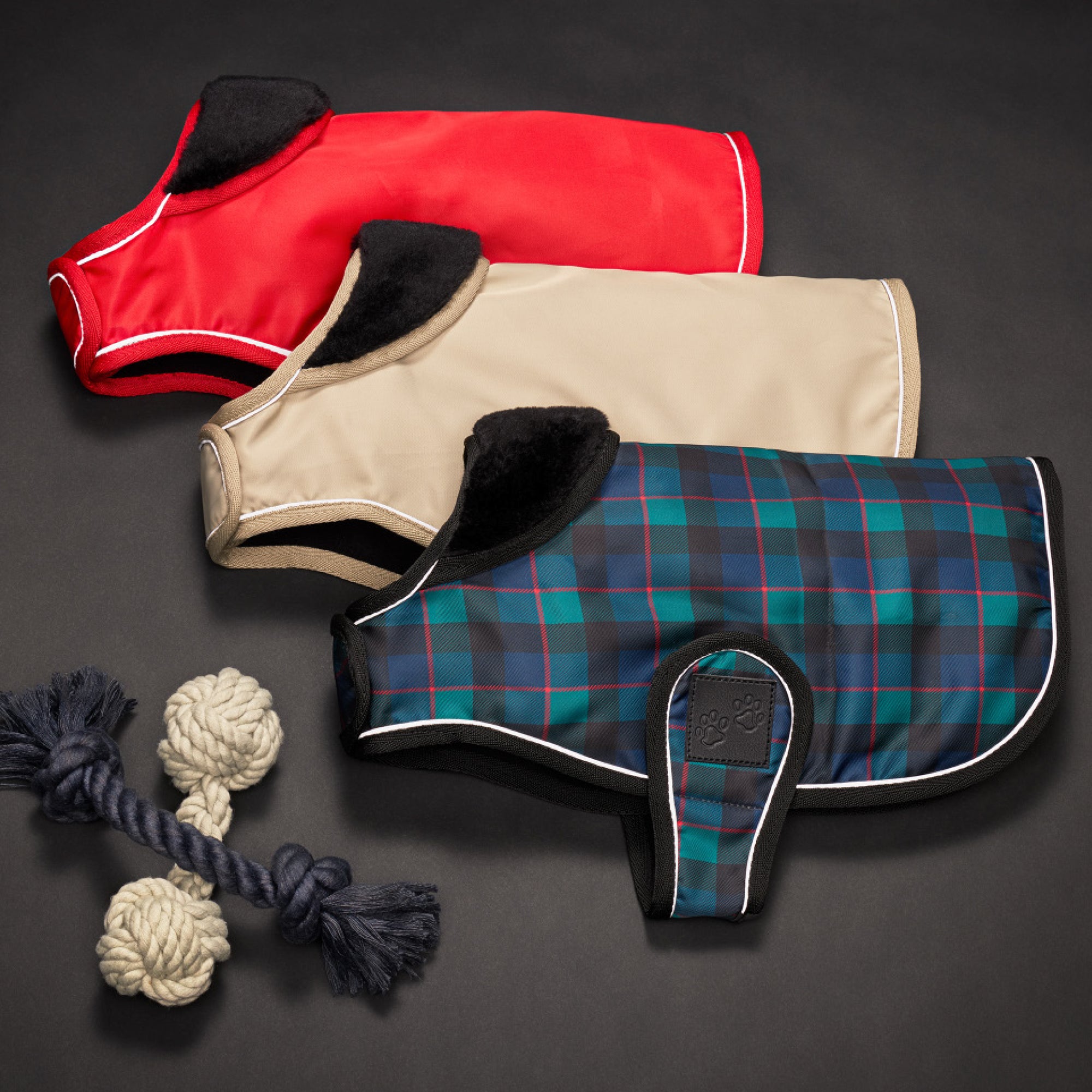 BREEZE - THE WINDBREAKER, MULTI COLOR