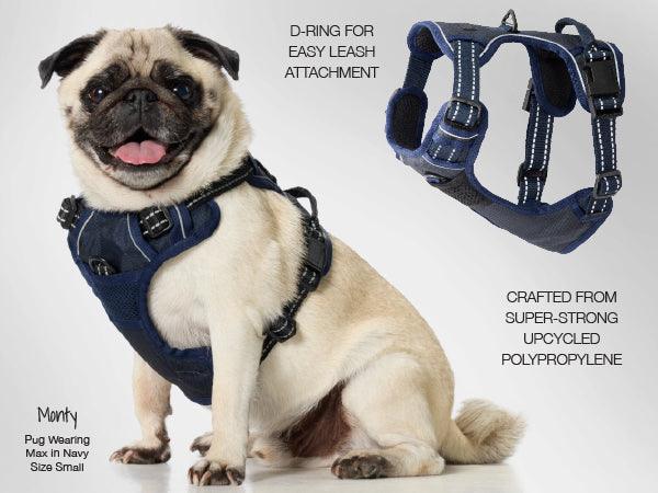 Max Harness Details