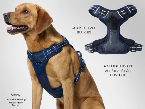 Max Harness Details