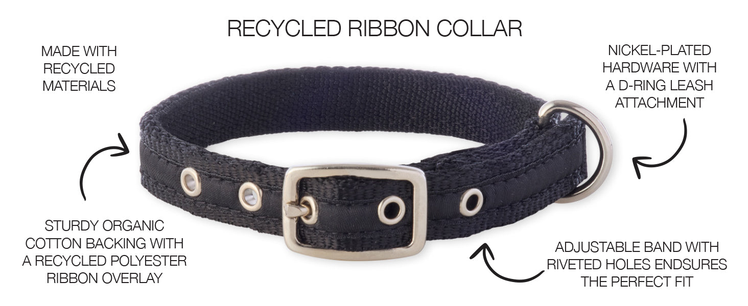 Recycled ribbon collar with features highlighted on a white background