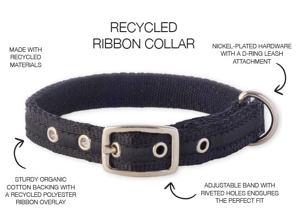 Recycled ribbon collar with features highlighted on a white background