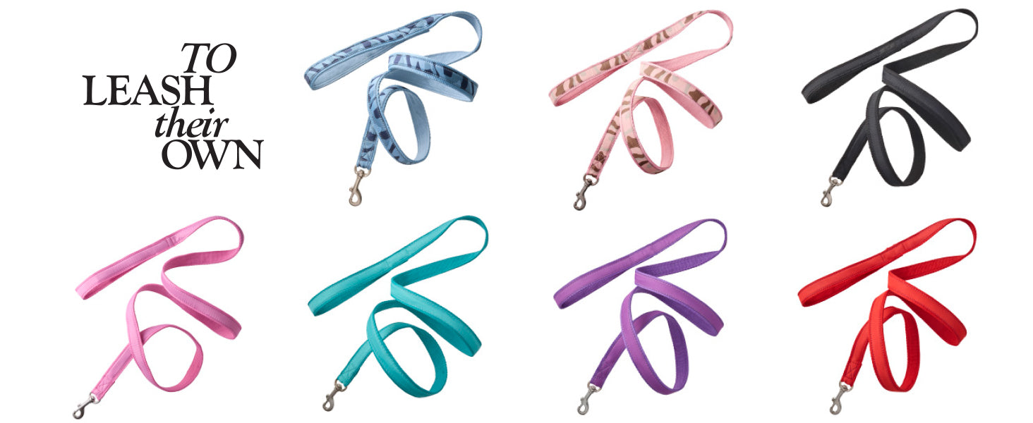 Set of colorful dog leashes on a white background with text 'TO LEASH their OWN'.
