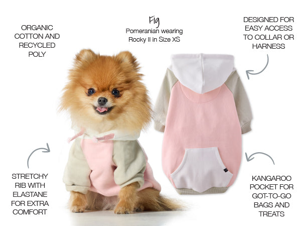 Dog wearing a pink and gray outfit with text detailing features