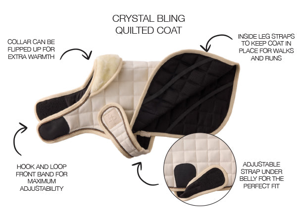 Quilted coat with features highlighted on a white background