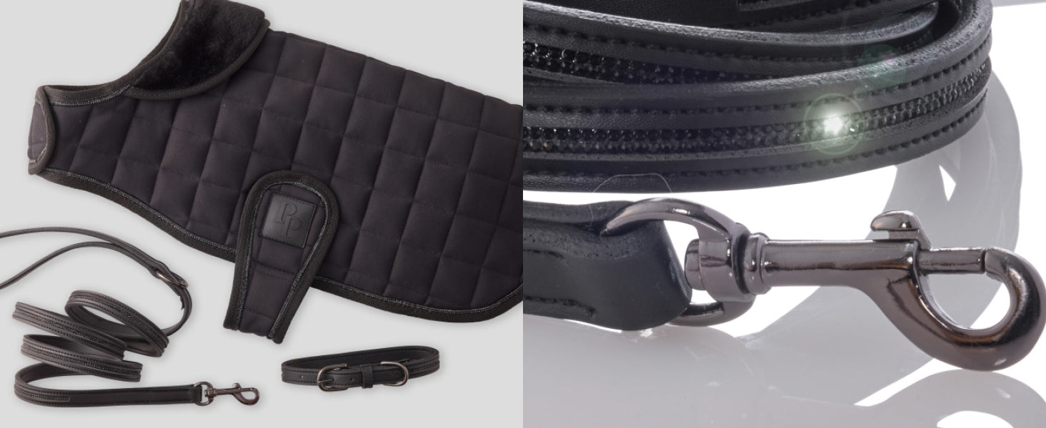 Black leather dog harness, leash, and collar set on a white background