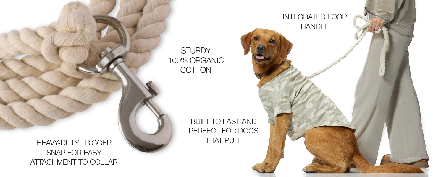 Dog leash with trigger snap, dog wearing a shirt, and person holding the leash on a white background.