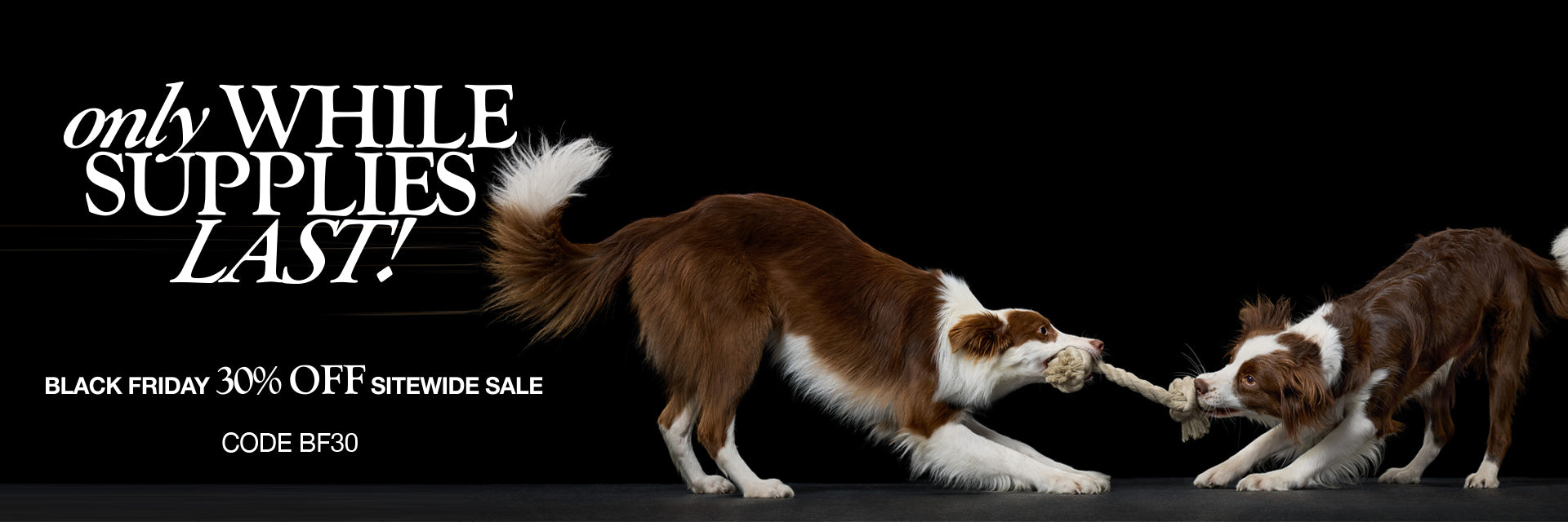 Black Friday 30% Off Sale