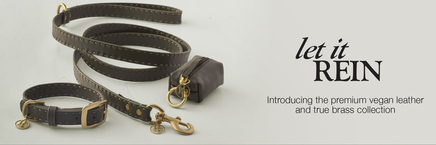Pet Passion Rein collection — premium organic cotton dog walking gear, leashes, and matching family apparel