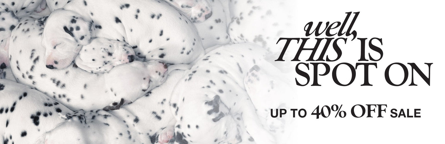 Pet Passion sale — organic dog clothes, toys, collars, and matching family apparel at discounted prices