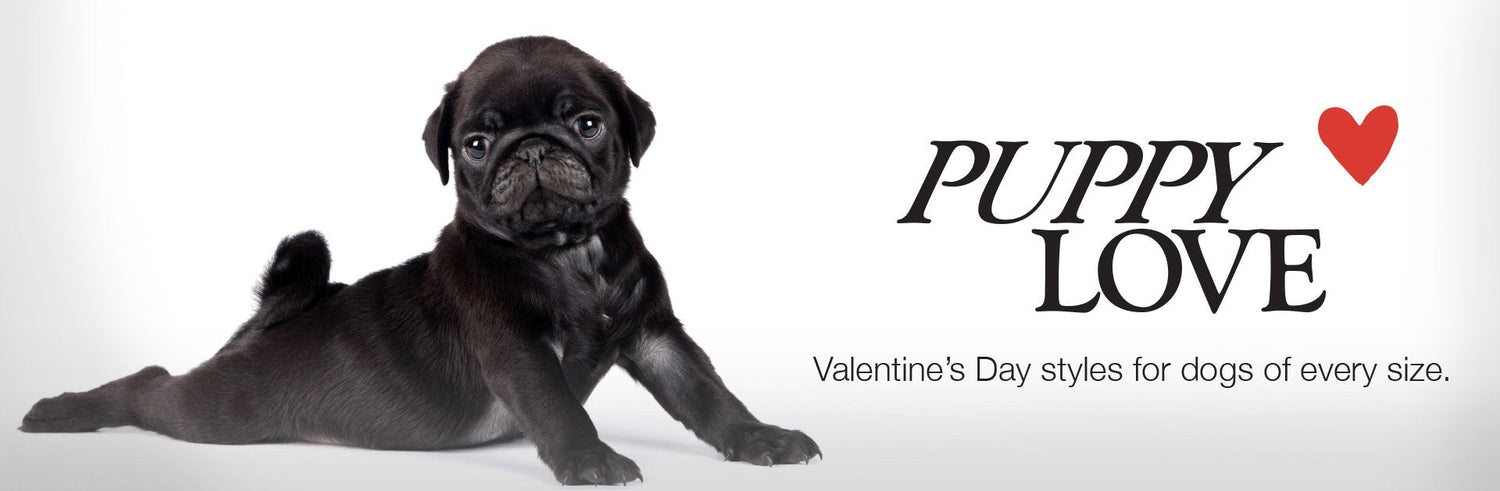 Pet Passion Valentine's Day shop — pink and red organic dog clothes, bandanas, and matching family Valentine's apparel