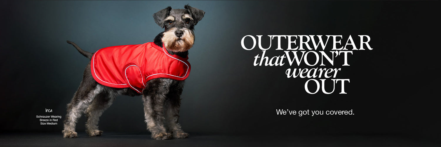Pet Passion dog outerwear — organic cotton dog coats, jackets, and vegan shearling sweaters for cold-weather walks