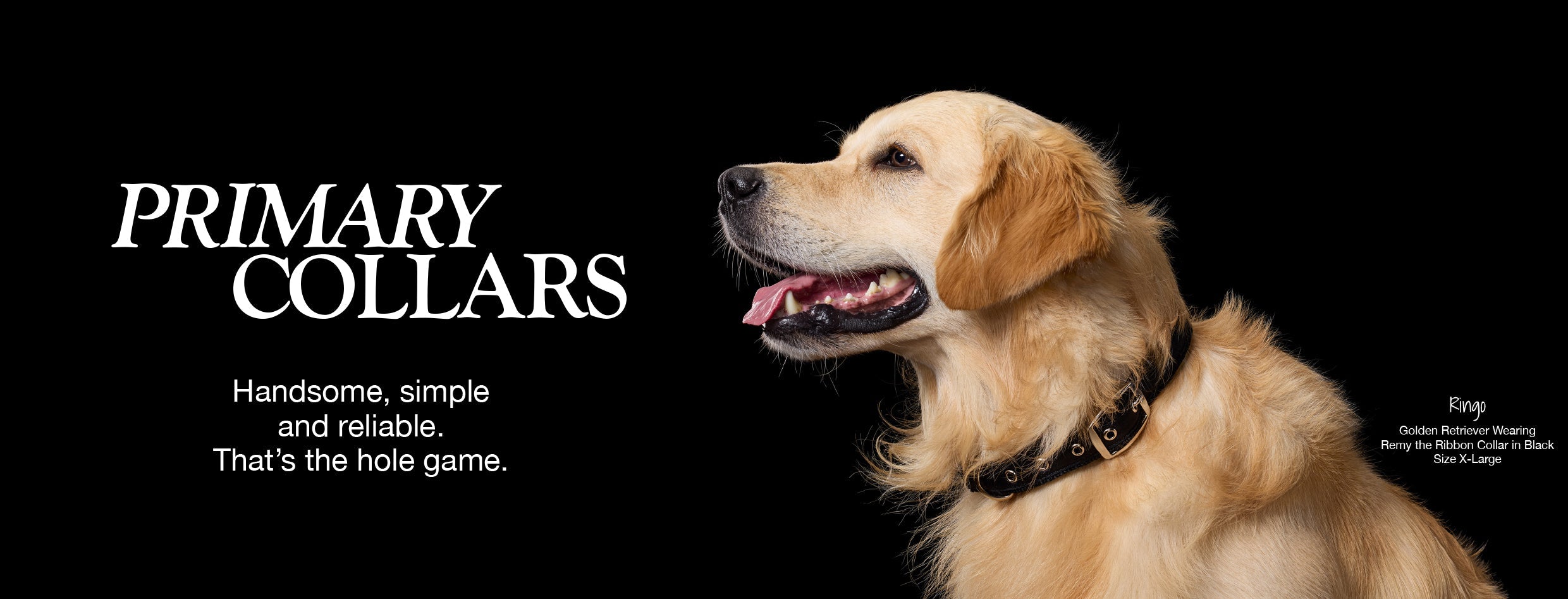 Best organic cotton dog collars, leashes, and harnesses from Pet Passion — coordinating walking gear sets for everyday use