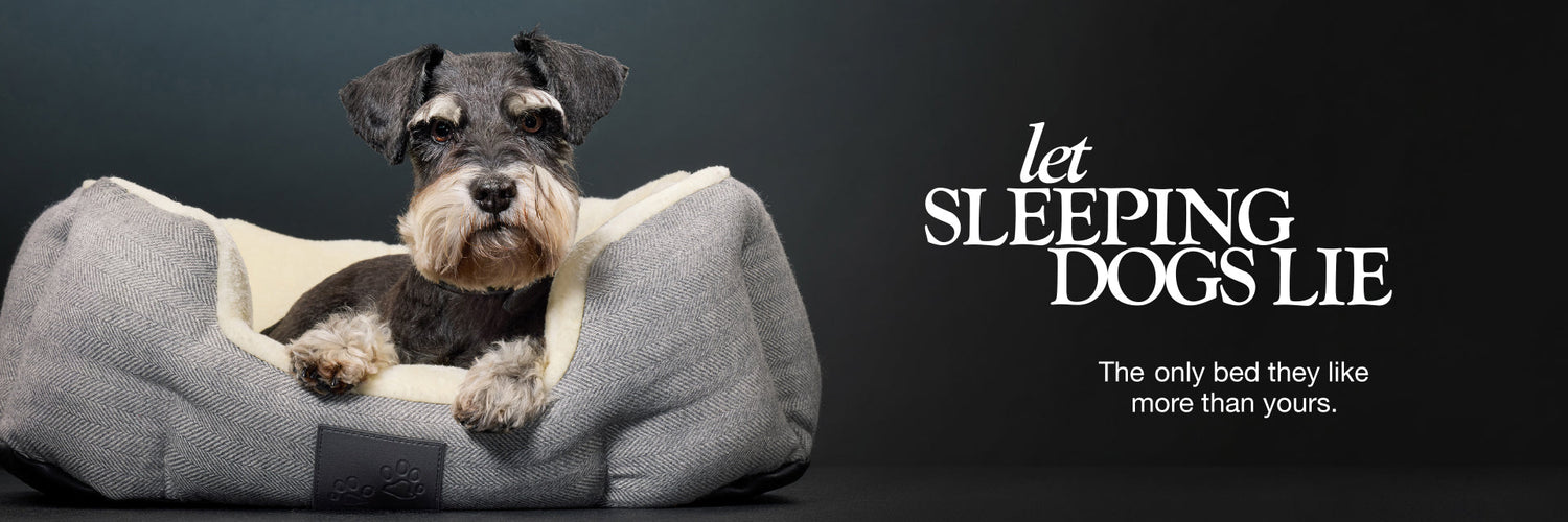 Pet Passion organic dog beds — soft, washable cotton dog beds for small to large dogs in coordinating Match Maker colors