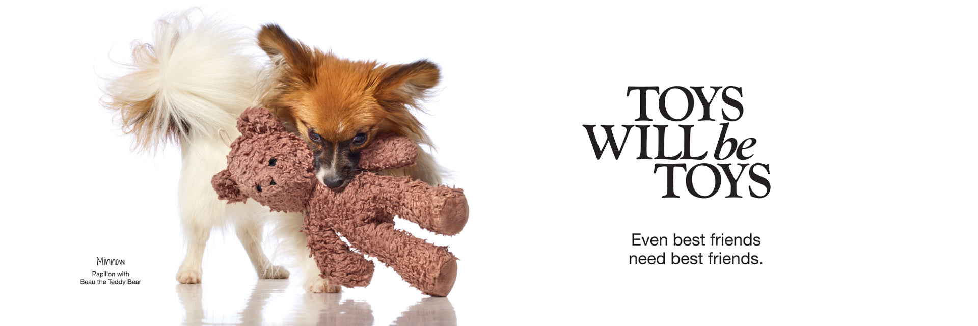 Pet Passion non-toxic dog toys — chemical-free plush, tug, and fetch toys in soft organic cotton, safe for puppies and adult dogs