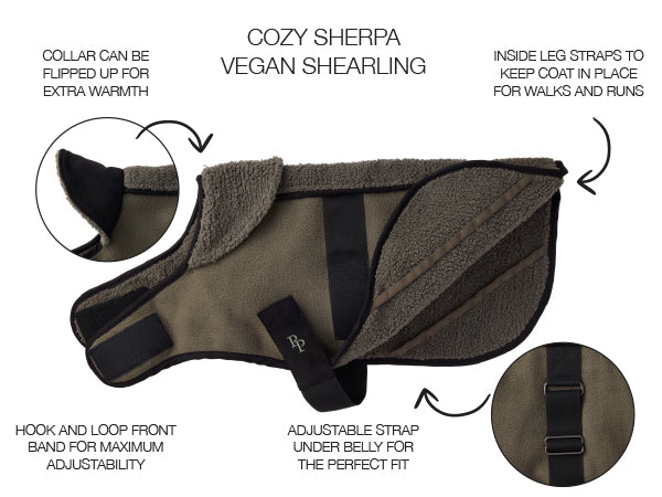 Dog coat with features highlighted on a white background