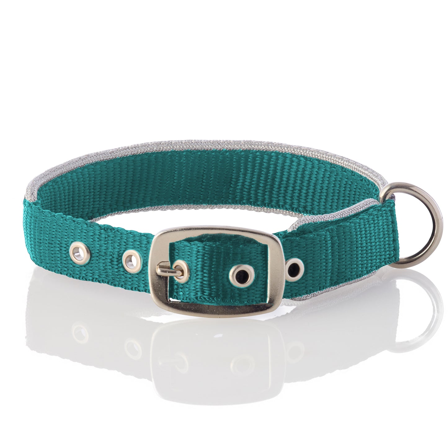 BOLT- THE SILVER TRIMMED COLLAR , TURQUOISE