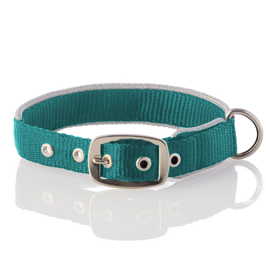 BOLT- THE SILVER TRIMMED COLLAR , TURQUOISE