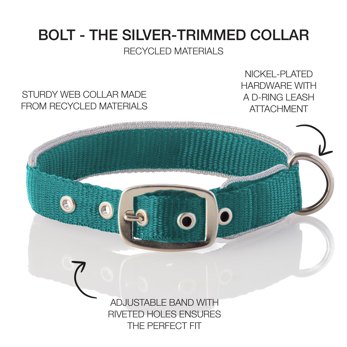 BOLT- THE SILVER TRIMMED COLLAR , TURQUOISE