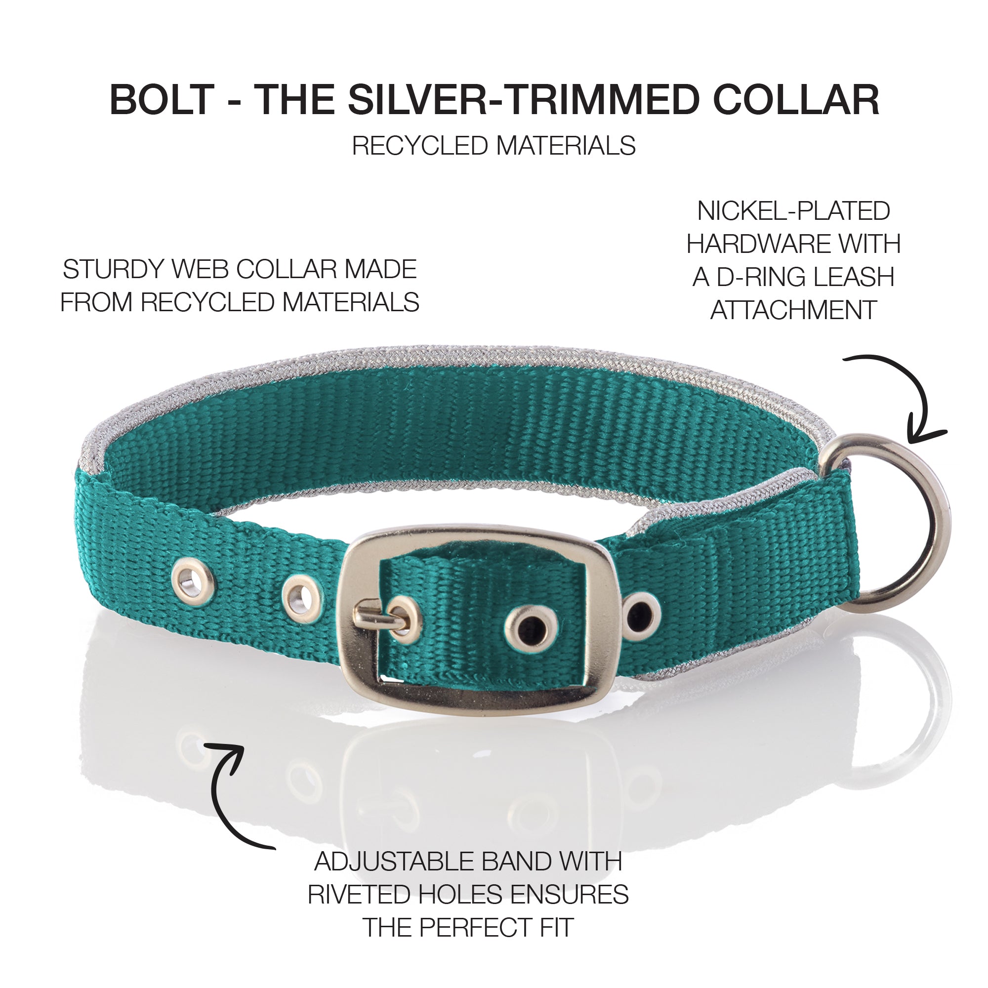 BOLT- THE SILVER TRIMMED COLLAR , TURQUOISE