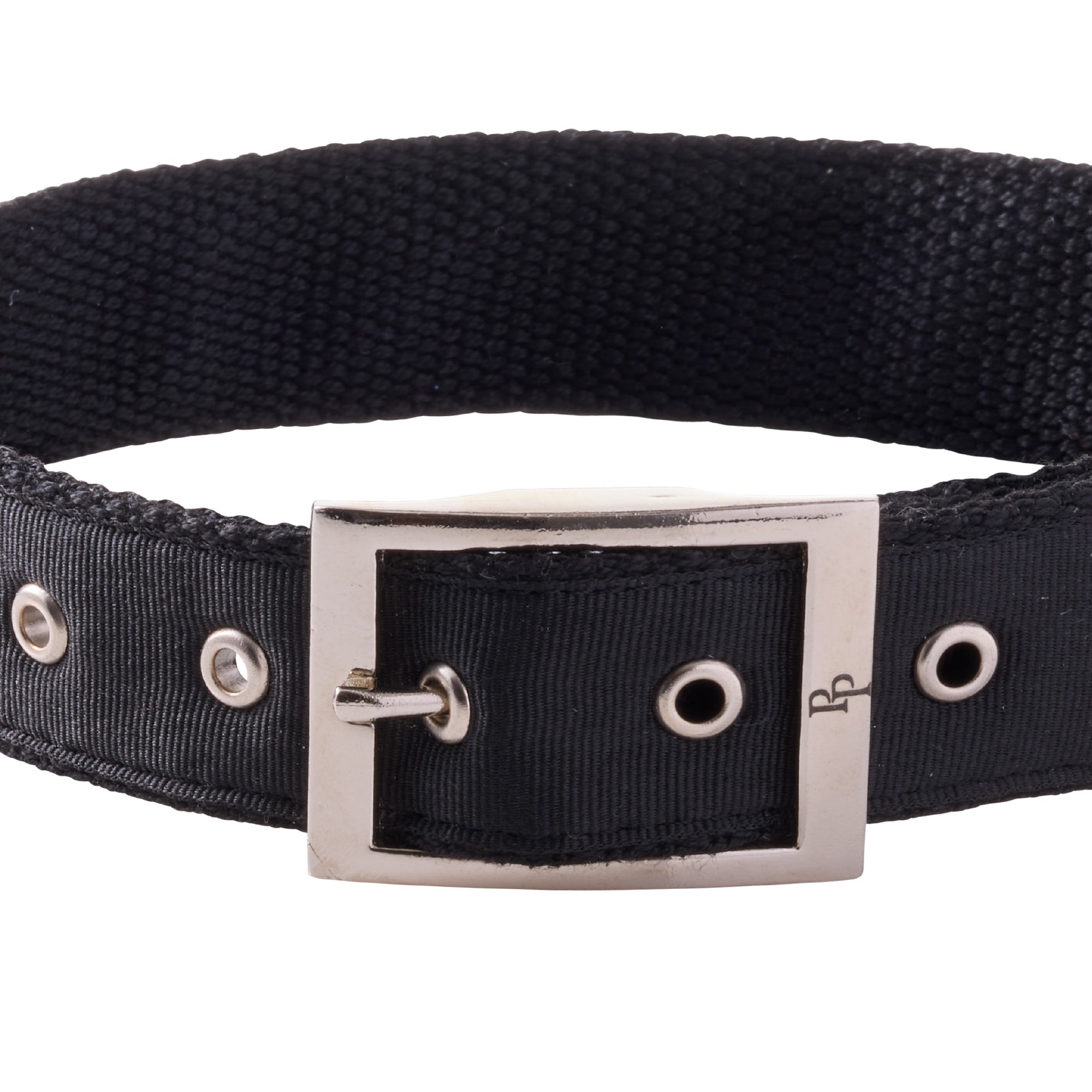 Close-up of silver buckle hardware on collar with small Pet Passion Logo
