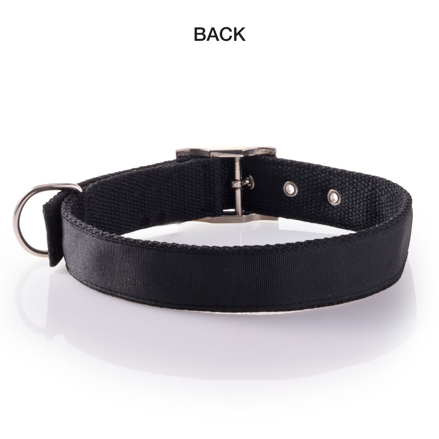 Back of REMY II collar