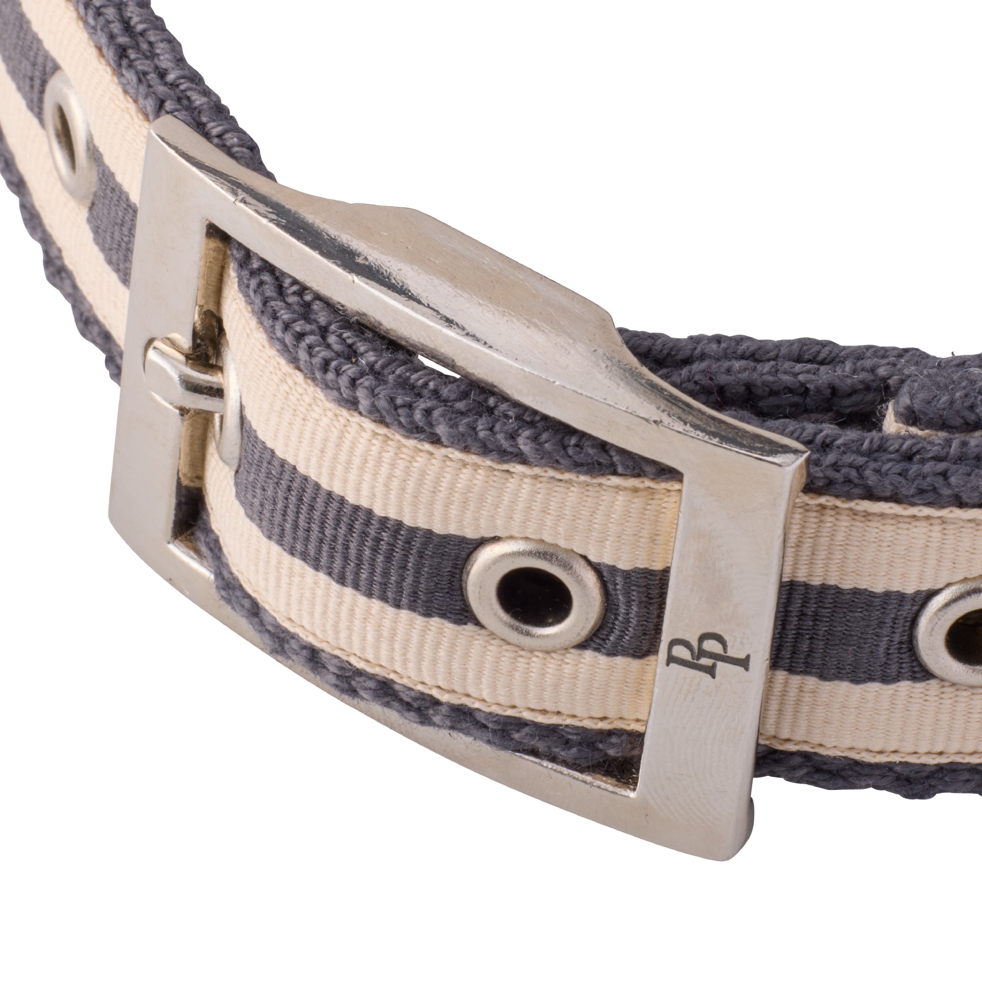 close-up of collar buckle hardware with pet passion engraving