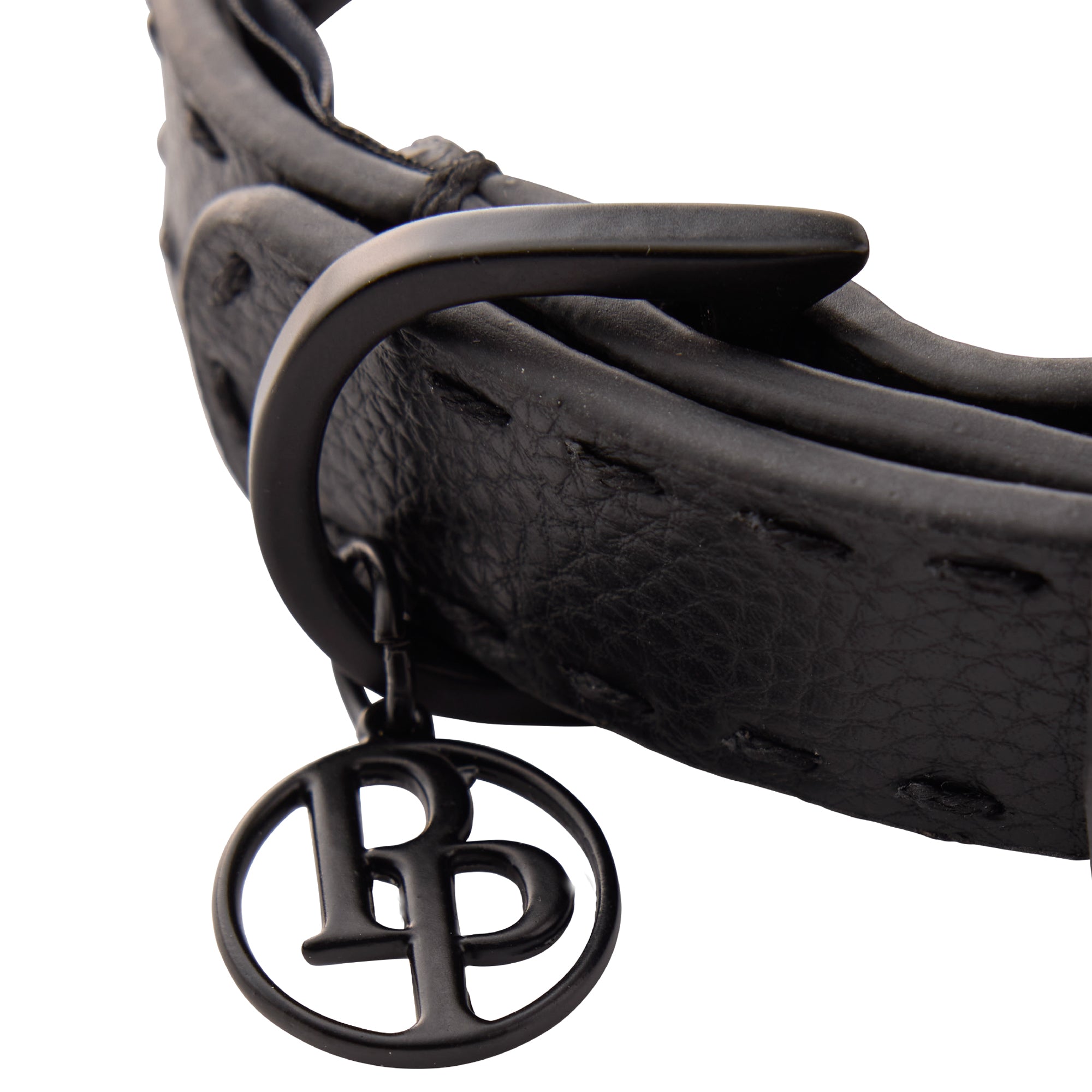 Close up of collar hardware and pet passion key chain on a white background